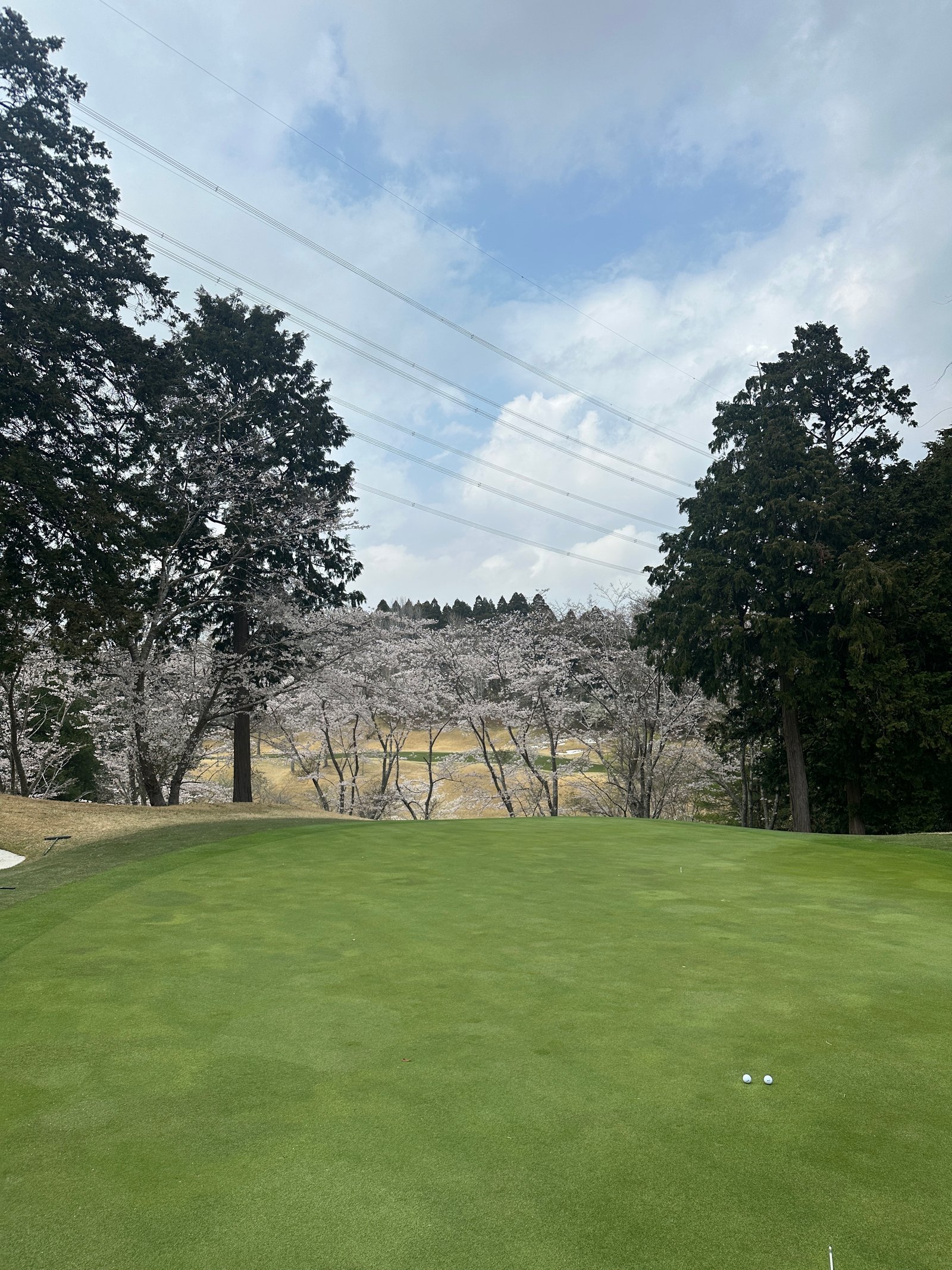 Caledonian Golf Club