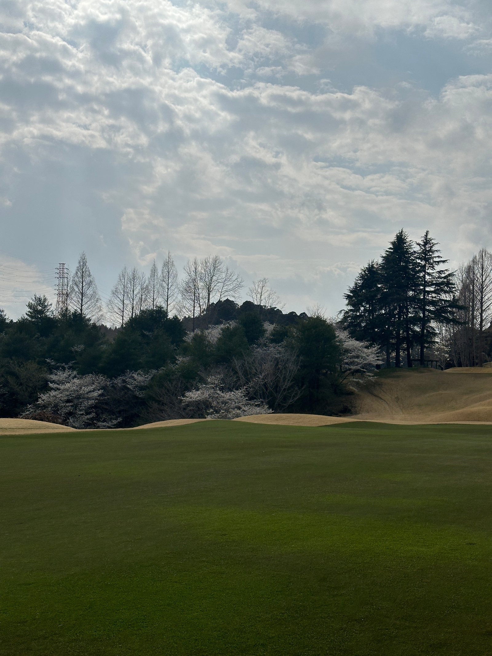 Caledonian Golf Club