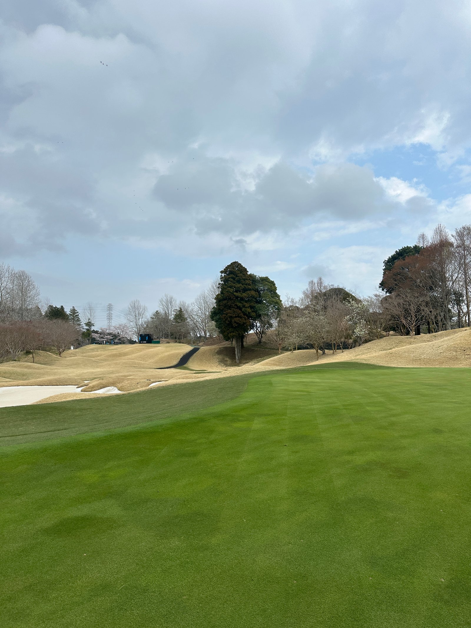 Caledonian Golf Club