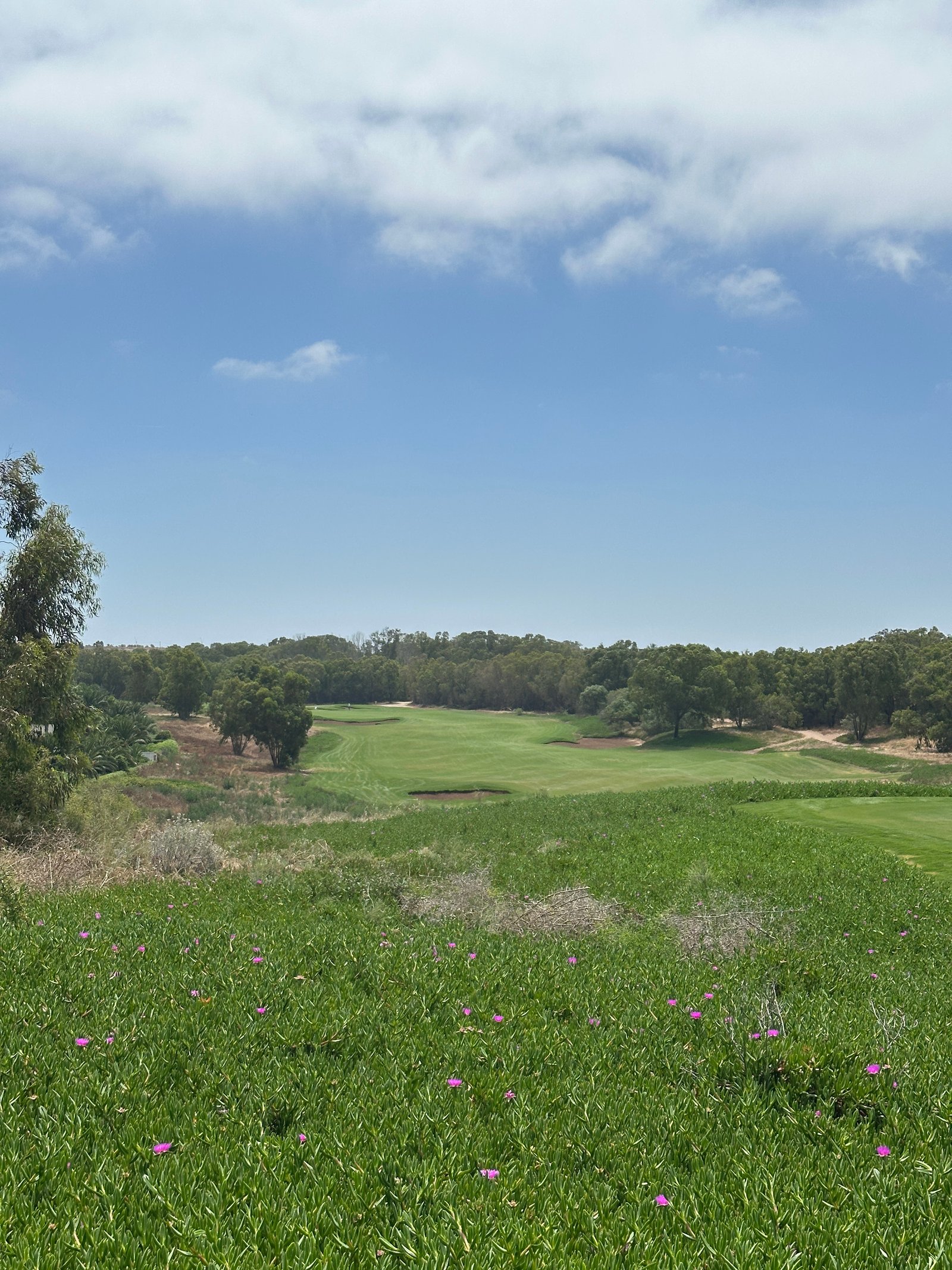 Mazagan Beach Golf Resort
