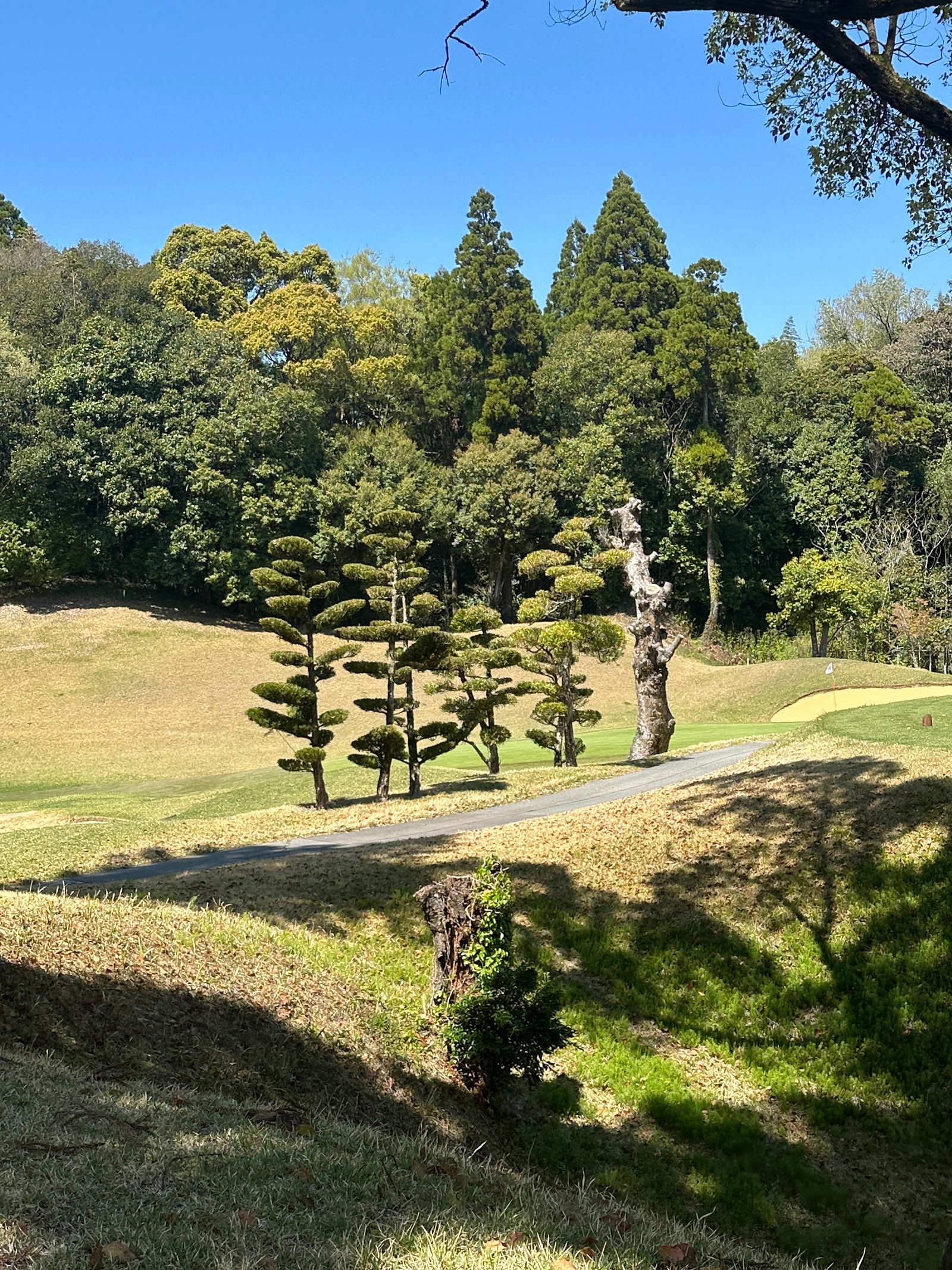 Tamana Country Club