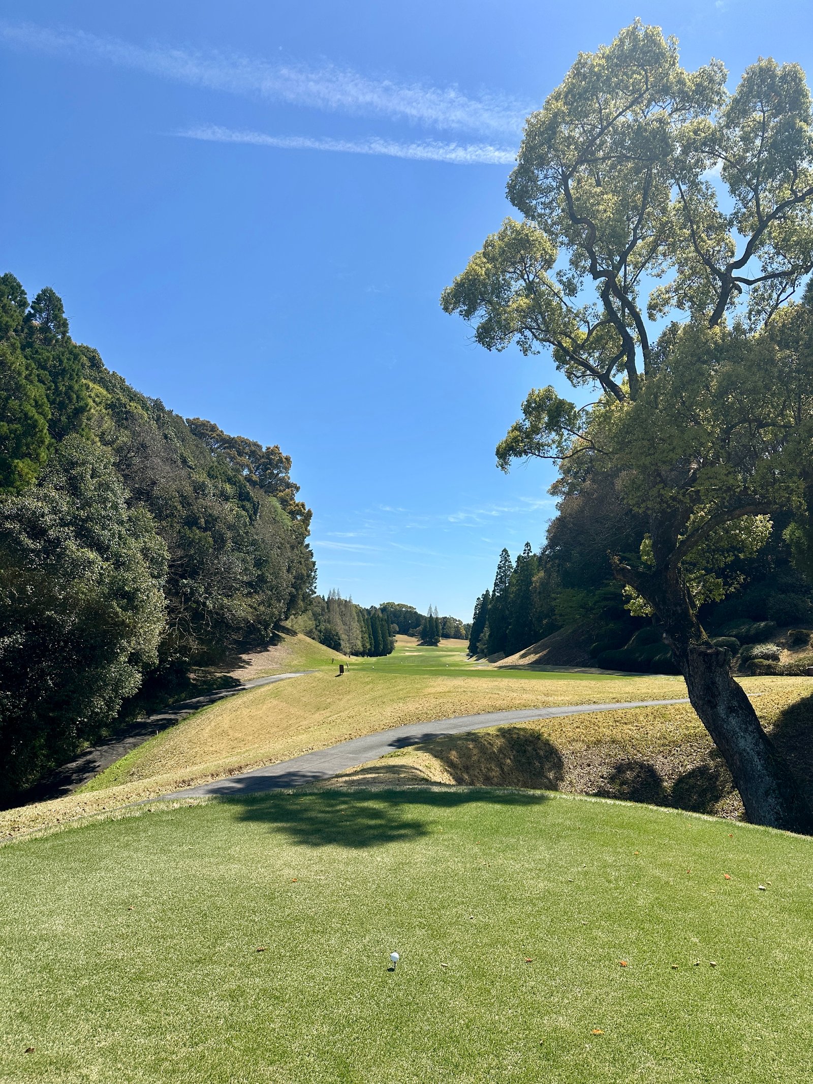Tamana Country Club