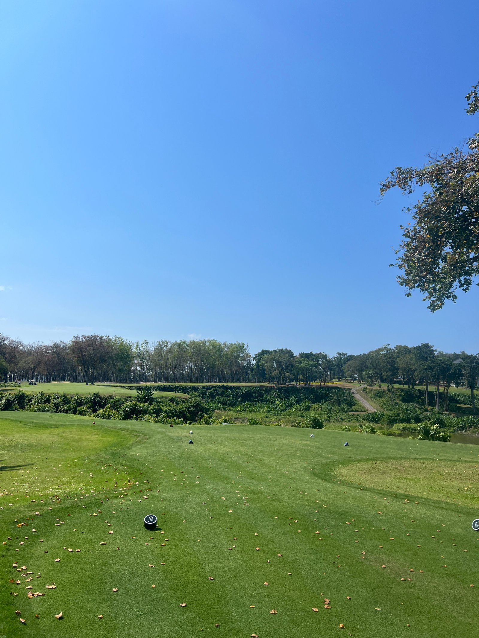 Blue Canyon Country Club (Canyon)