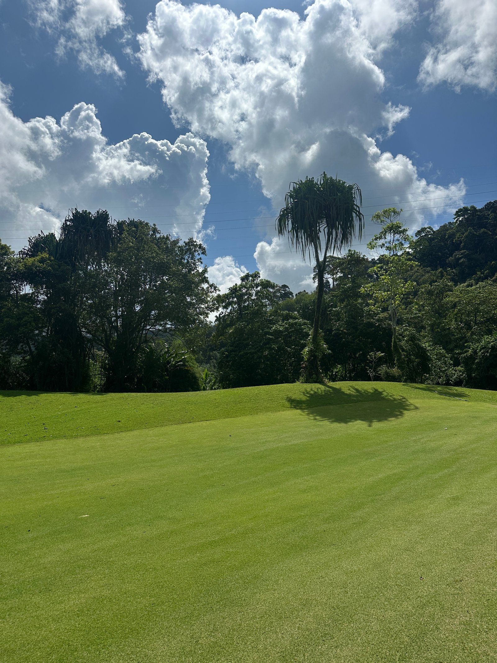 Red Mountain Golf Club
