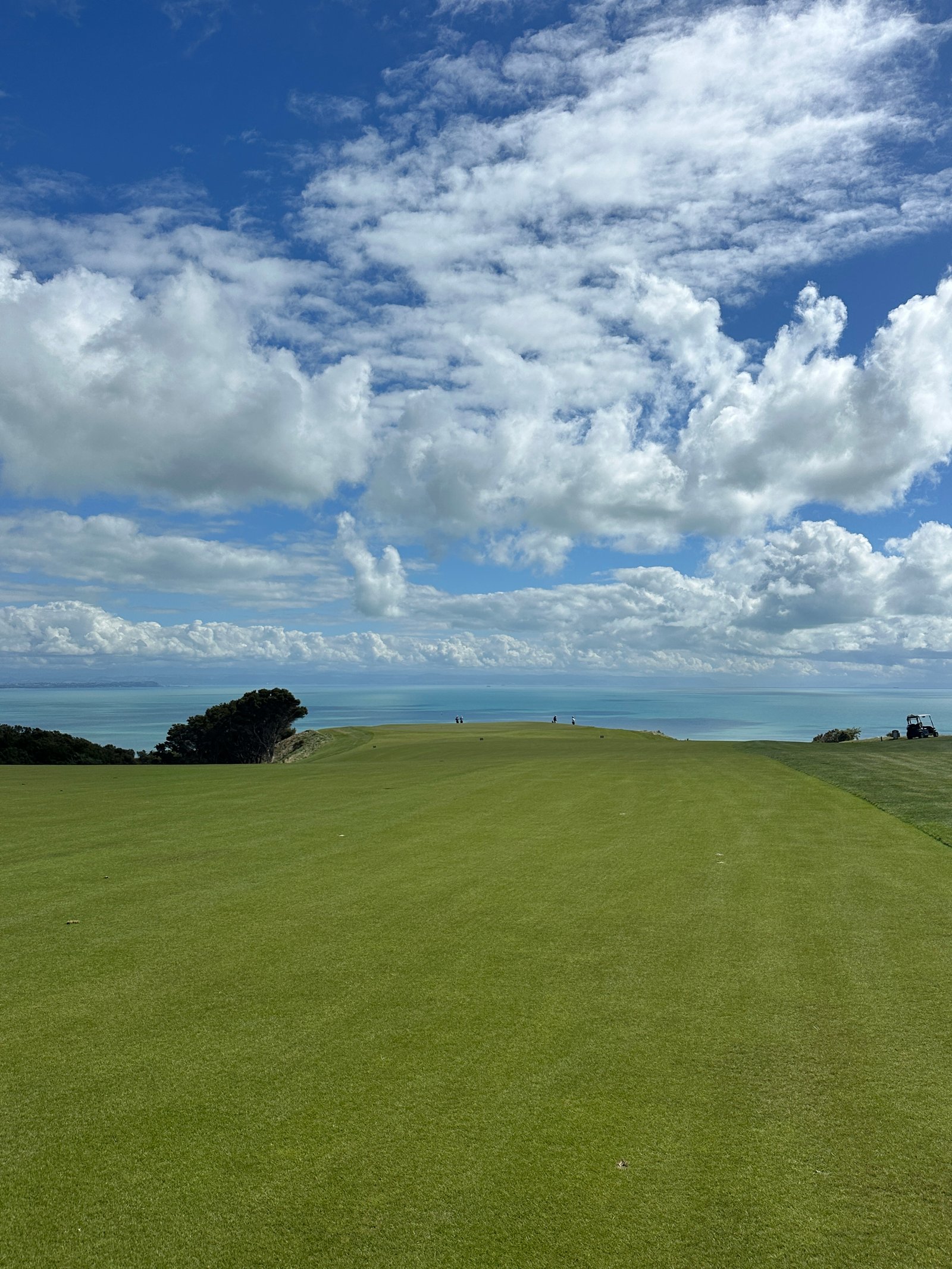 Cape Kidnappers