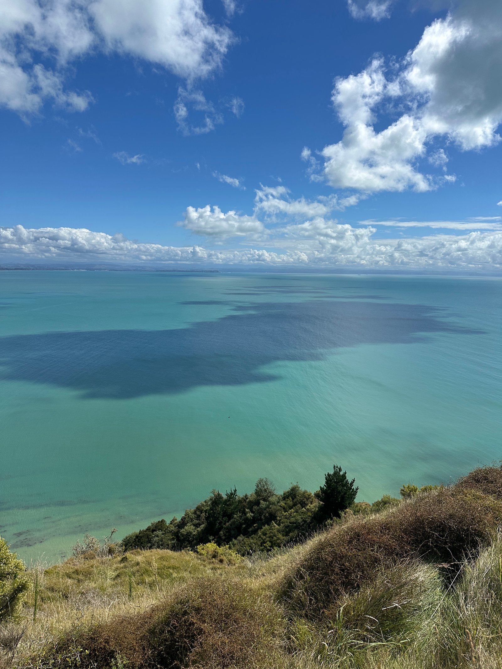 Cape Kidnappers