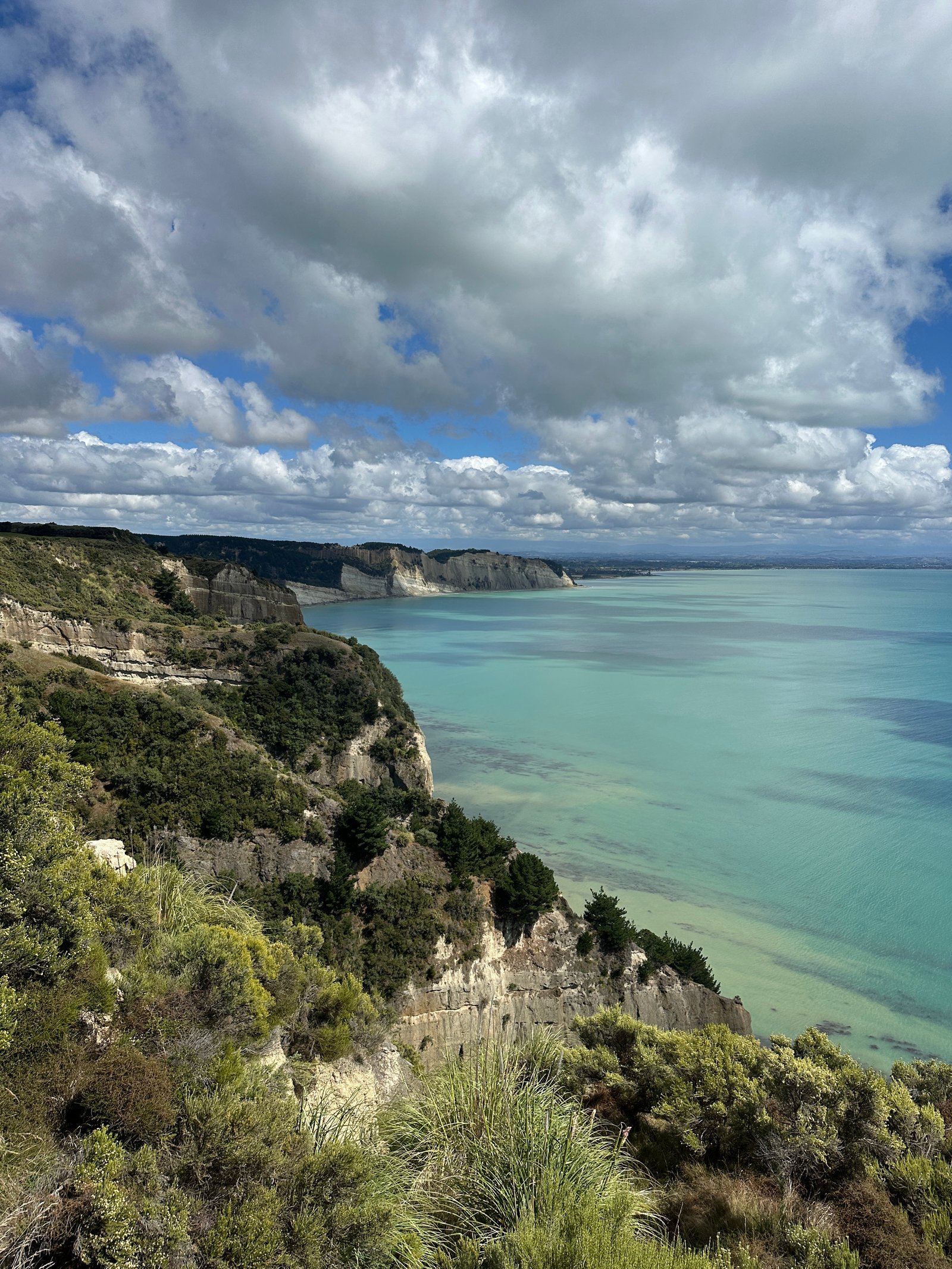 Cape Kidnappers