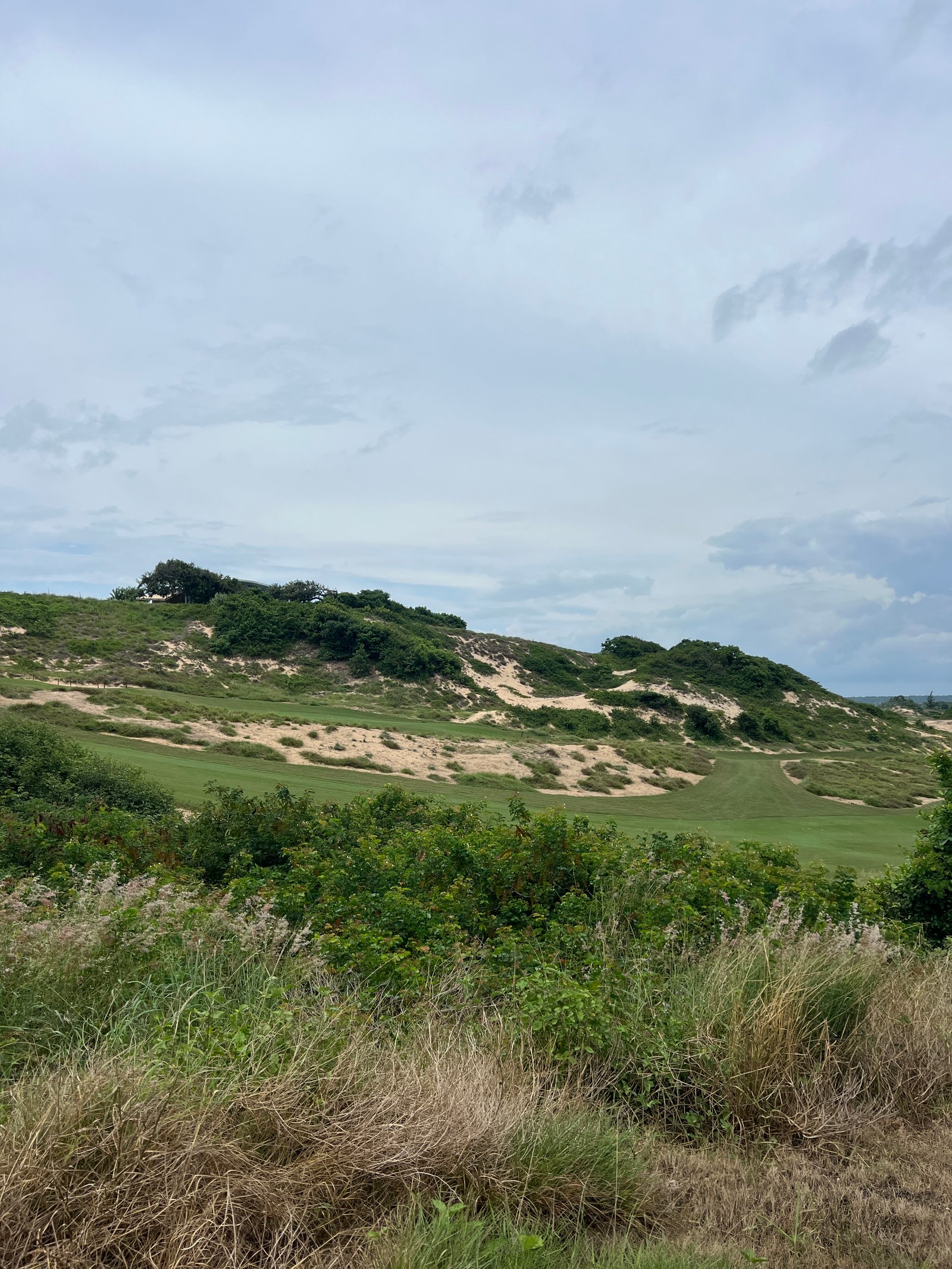 The Bluffs Ho Tram Strip