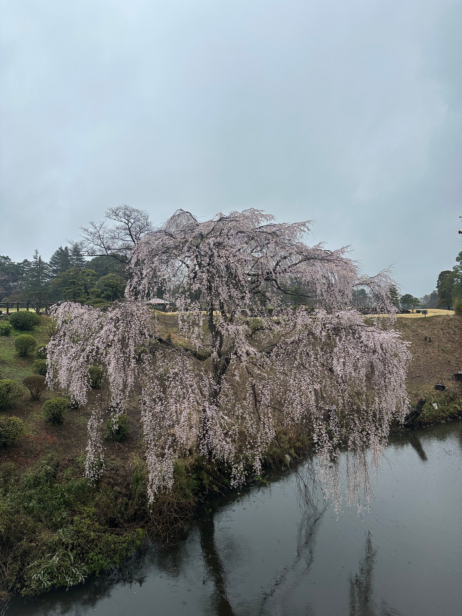 Narashino Country Club