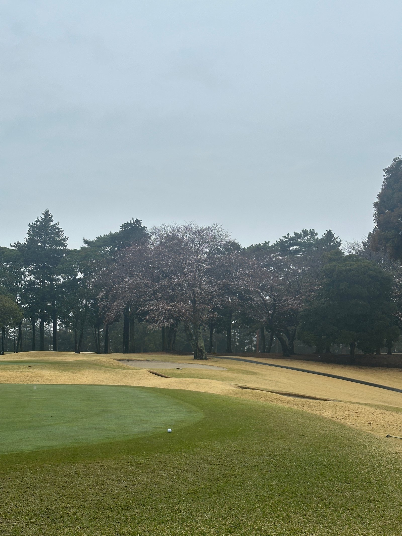 Narashino Country Club