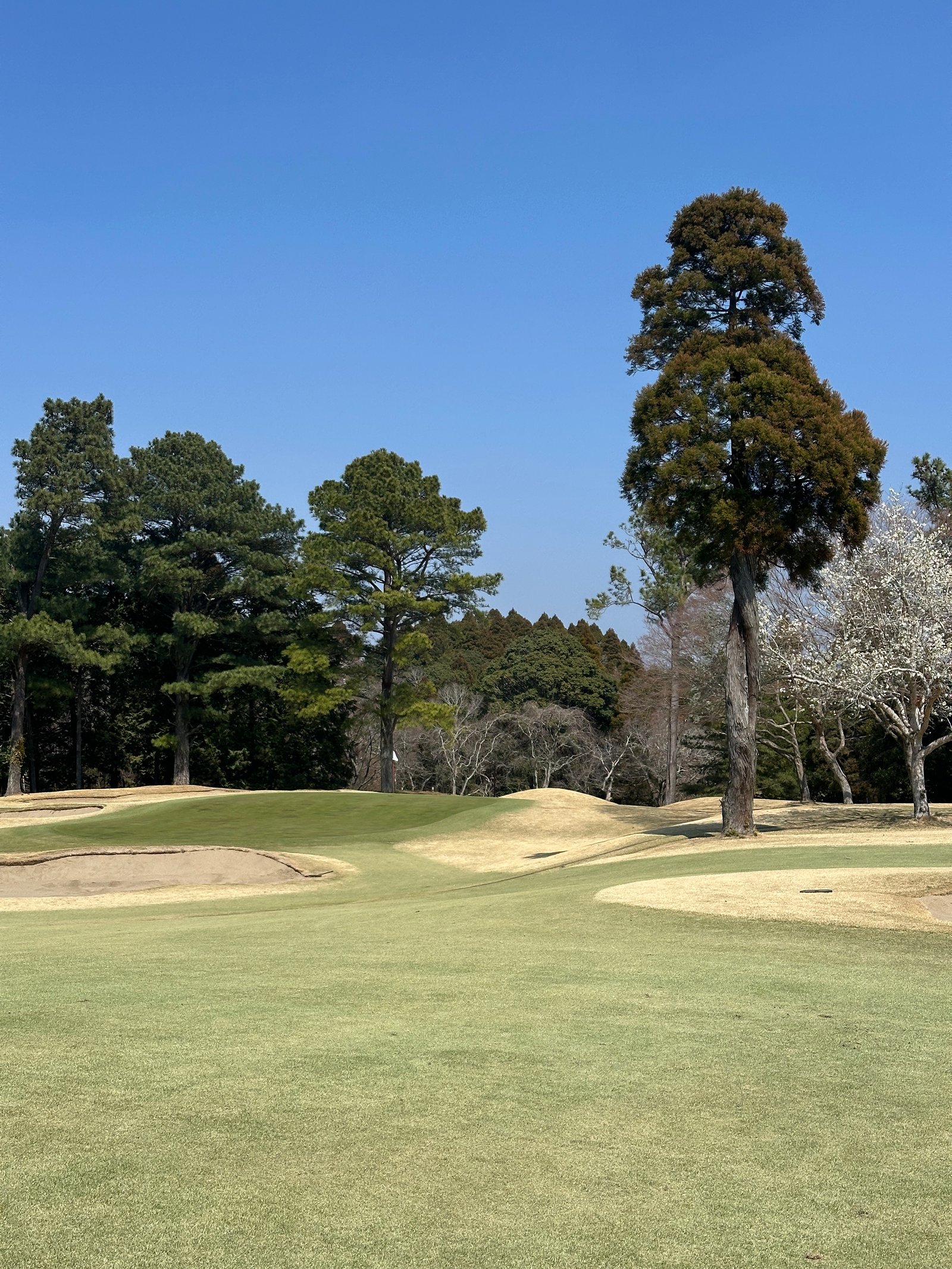 Higashi Chiba Golf Club